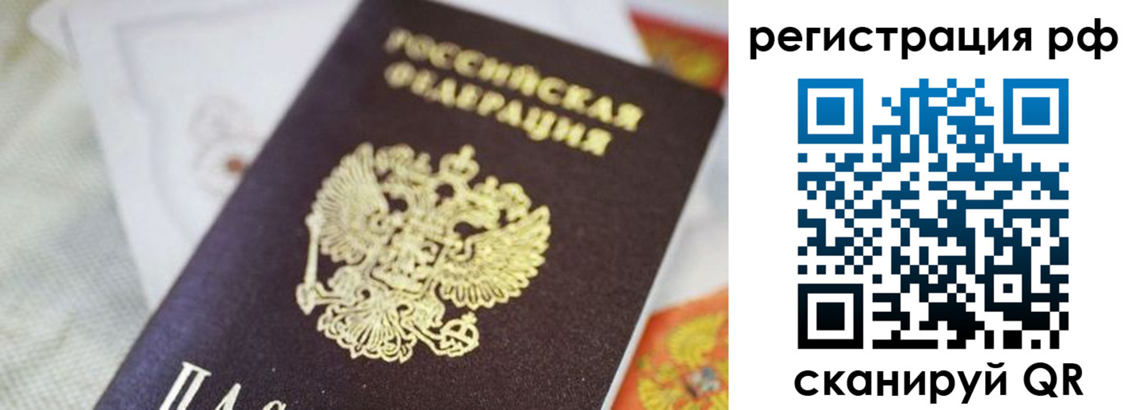 прописка гарантия в Александрове